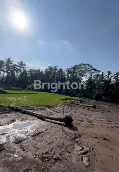 image INVESTASI LAHAN 42 ARE DI PEJENG – VIEW SAWAH ABADI & ZONA KUNING STRATEGIS (5)