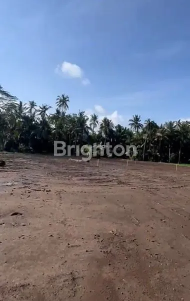 image INVESTASI LAHAN 42 ARE DI PEJENG – VIEW SAWAH ABADI & ZONA KUNING STRATEGIS (4)