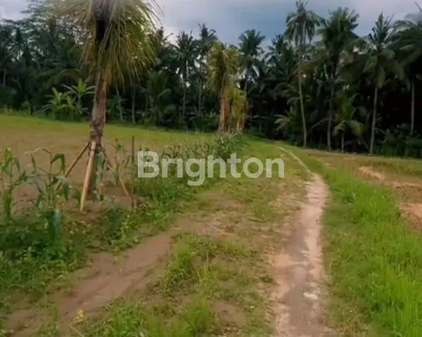 image INVESTASI LAHAN 42 ARE DI PEJENG – VIEW SAWAH ABADI & ZONA KUNING STRATEGIS (1)