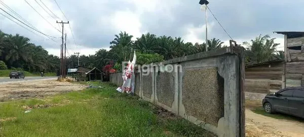 image TANAH STRATEGIS 19.908M² DI LINTAS PEKANBARU-PANGKALAN KERINCI (2)