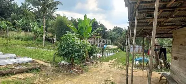 image TANAH STRATEGIS 19.908M² DI LINTAS PEKANBARU-PANGKALAN KERINCI (4)