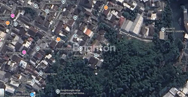 image TANAH DEKAT SULFAT  (3)