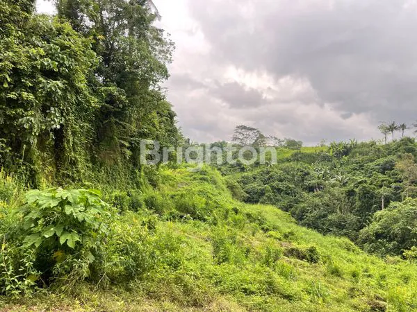 image TANAH DI JALAN UTAMA 98 ARE DI KOTA GIANYAR (1)