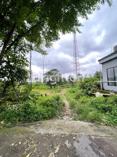 image TANAH DI JALAN UTAMA 98 ARE DI KOTA GIANYAR (2)