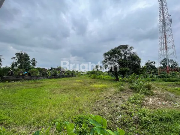 image TANAH DI JALAN UTAMA 98 ARE DI KOTA GIANYAR (4)