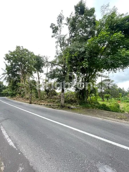 image TANAH DI JALAN UTAMA 98 ARE DI KOTA GIANYAR (5)