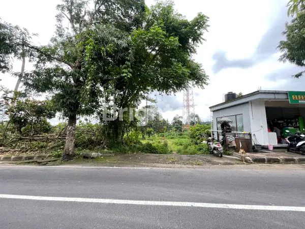 image TANAH DI JALAN UTAMA 98 ARE DI KOTA GIANYAR (7)