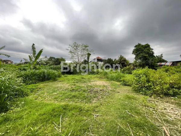 image TANAH DI JALAN UTAMA 98 ARE DI KOTA GIANYAR (8)