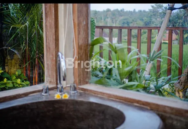 image HUNIAN EKSKLUSIF DI UBUD: 3 VILA DENGAN KOLAM RENANG PRIBADI (4)