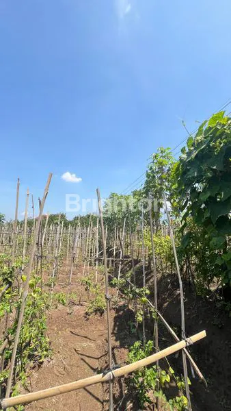 image TANAH 3200 M ARAH WISATA JENGKOANG BUMIAJI KOTA BATU (5)