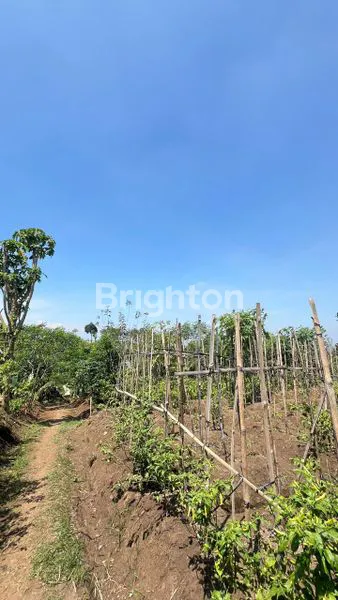 image TANAH 3200 M ARAH WISATA JENGKOANG BUMIAJI KOTA BATU (3)