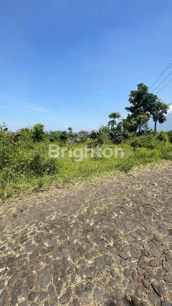 image TANAH 3200 M ARAH WISATA JENGKOANG BUMIAJI KOTA BATU (1)
