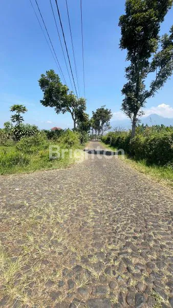 image TANAH 3200 M ARAH WISATA JENGKOANG BUMIAJI KOTA BATU (2)