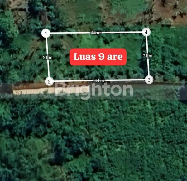 image JUAL TANAH DI KETEWEL  (1)