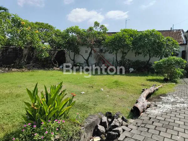 image FOR SALE TANAH LUAS 3,8 ARE DI JLN DEWATA, DEKAT UNDIKNAS (3)