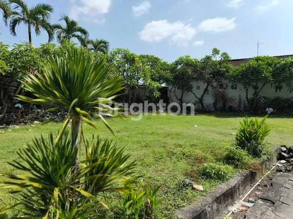 image FOR SALE TANAH LUAS 3,8 ARE DI JLN DEWATA, DEKAT UNDIKNAS (4)