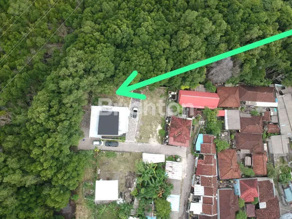 image TANAH SHM JIMBARAN – SUASANA TENANG SEPERTI UBUD, DEKAT TOL & BANDARA (5)
