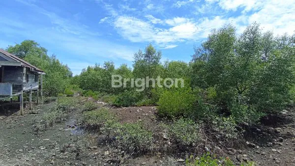 image EMPANG 10 HEKTAR SIAP SEWA, HARGA MENARIK DI BONE (2)