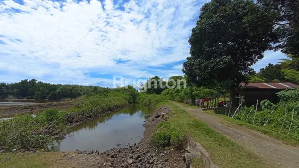 image EMPANG 10 HEKTAR SIAP SEWA, HARGA MENARIK DI BONE (6)