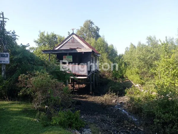 EMPANG 10 HEKTAR SIAP SEWA, HARGA MENARIK DI BONE