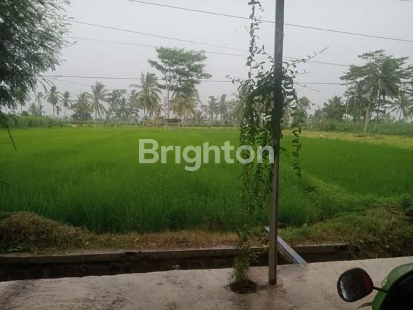 image DIJUAL TANAH STRATEGIS PINGGIR JALAN PROVINSI – TAPEN, BONDOWOSO (1)