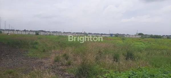 image GUDANG PABRIK 3.3 HEKTAR JALAN RAYA PANTURA DUSUN MARGA JAYA CIASEM SUBANG JUAL CEPAT JAWA BARAT (4)