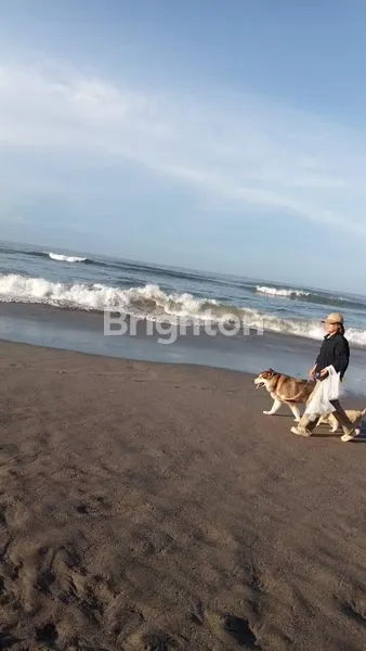 image VILLA 3 BEDROOM WITH POOL AREA BATUR SARI SANUR (2)