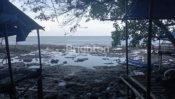 TANAH DAN PANTAI PALETTE, WATAMPONE