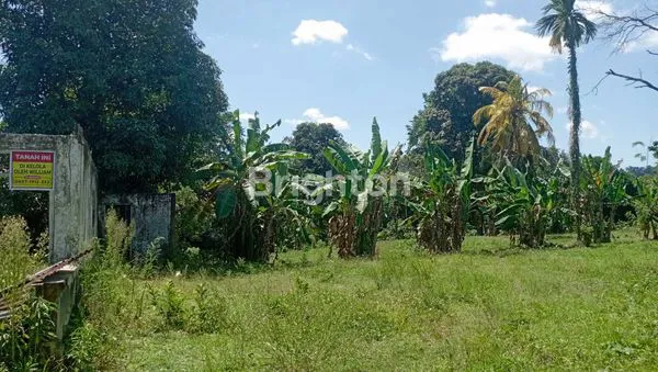 image PROPERTI MULTIFUNGSI DI BONE, COCOK UNTUK BISNIS (6)