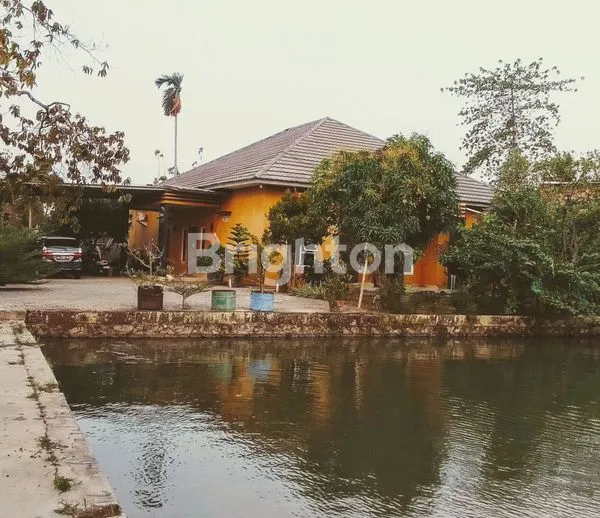 image RUMAH DIJUAL (1)