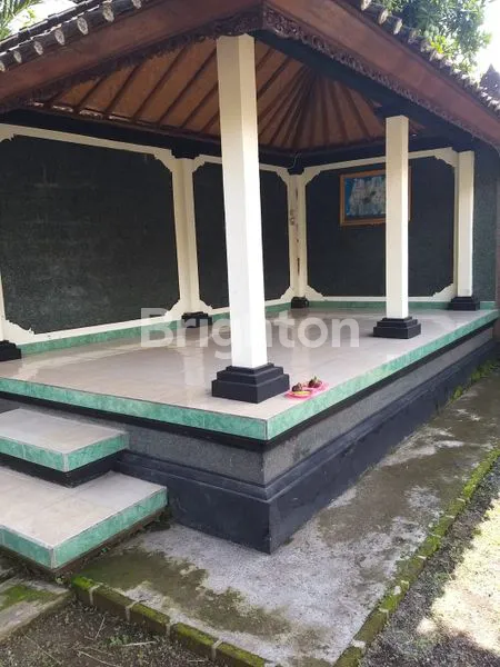 image RUMAHI DI SINGARAJA, DEKAT PANTAI LOVINA (2)