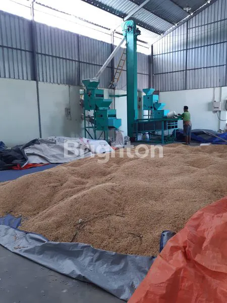 image RUMAH, TOKO, GUDANG, SAWAH STRATEGIS 0 KM JALAN RAYA (4)