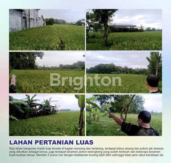 image RUMAH, TOKO, GUDANG, SAWAH STRATEGIS 0 KM JALAN RAYA (8)