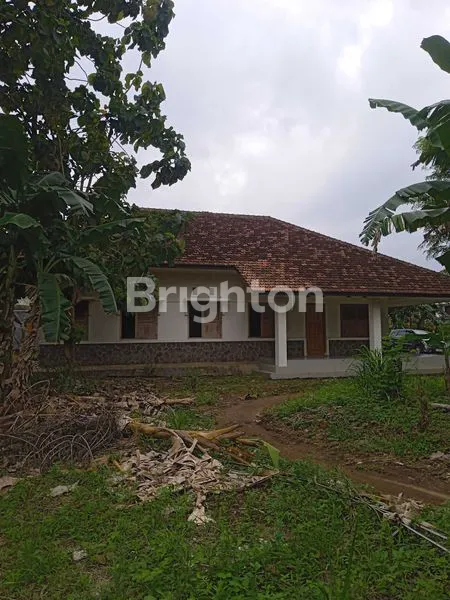 image TANAH BONUS 2 RUMAH DI JLN. ABDUL MUIS, GEDONG MENENG, RAJABASA, BANDAR LAMPUNG, LAMPUNG (1)