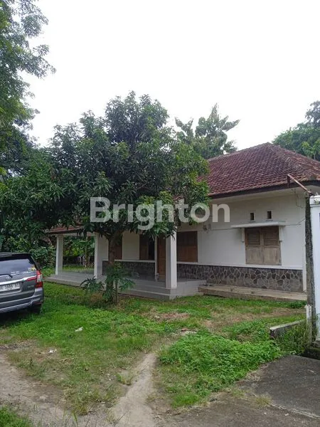 image TANAH BONUS 2 RUMAH DI JLN. ABDUL MUIS, GEDONG MENENG, RAJABASA, BANDAR LAMPUNG, LAMPUNG (3)