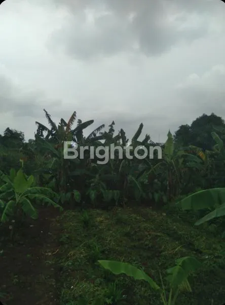 image TANAH SHM 1.284M², LOKASI PRIME SAWANGAN, HARGA MENARIK (2)