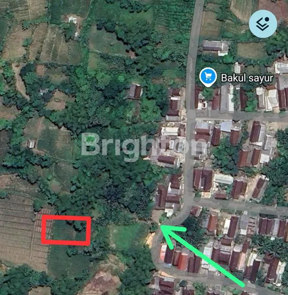 image TANAH LUAS 1.000 M2 DI DSN. GONDANG, DS. PARENGAN, KEC. JETIS, KAB. MOJOKERTO (1)