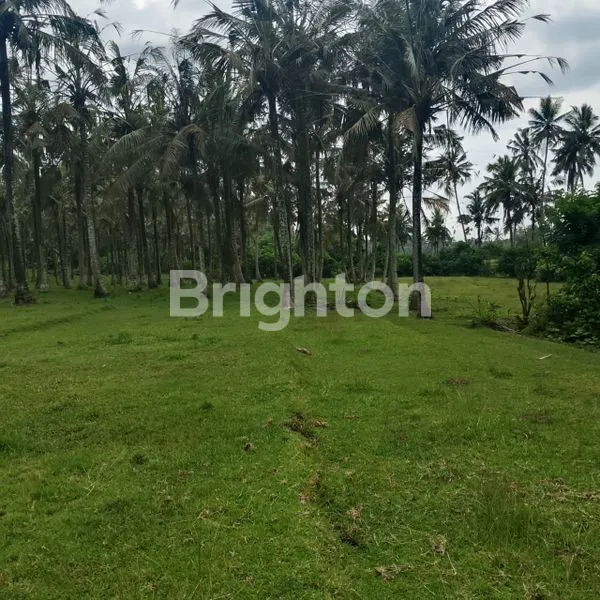 image TANAH SIAP BANGUN SHM, HANYA 15 JUTA/ARE DI TABANAN (1)