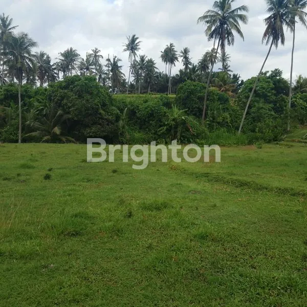 image TANAH SIAP BANGUN SHM, HANYA 15 JUTA/ARE DI TABANAN (2)