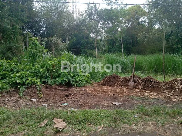 image TANAH MURAH TALUN BLITAR  (1)