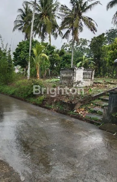 image DISEWAKAN TANAH (1)