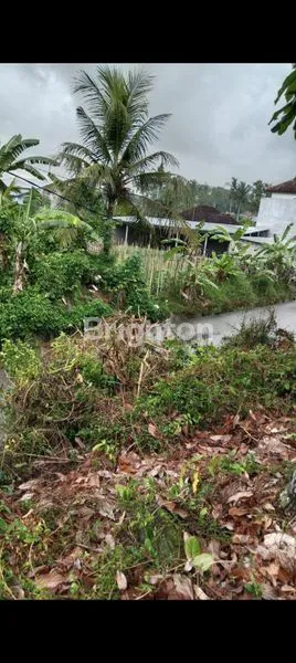 image DISEWAKAN TANAH (2)