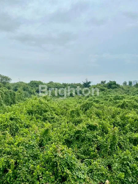 image KAVLING TANAH MURAH 9.270 M2 KAPUK KAMAL RAYA JAKARTA UTARA (3)