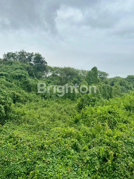 image KAVLING TANAH MURAH 9.270 M2 KAPUK KAMAL RAYA JAKARTA UTARA (4)