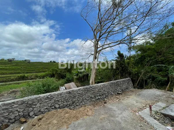 image TANAH SHM 88M², HARGA TERJANGKAU, DENPASAR UTARA (1)