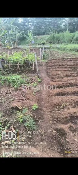 image DIJUAL TANAH JL. TVRI ORO-ORO OMBO BATU (4)
