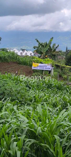 image DIJUAL TANAH JL. TVRI ORO-ORO OMBO BATU (1)