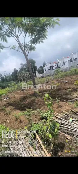 image DIJUAL TANAH JL. TVRI ORO-ORO OMBO BATU (5)