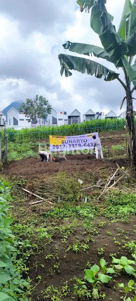 image DIJUAL TANAH JL. TVRI ORO-ORO OMBO BATU (8)