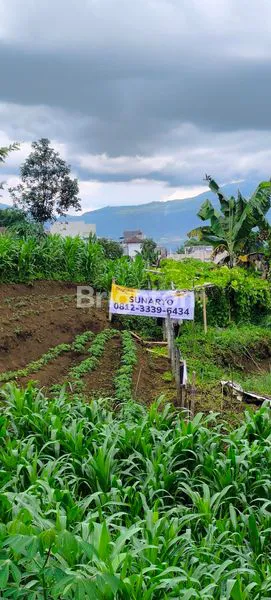 image DIJUAL TANAH JL. TVRI ORO-ORO OMBO BATU (7)